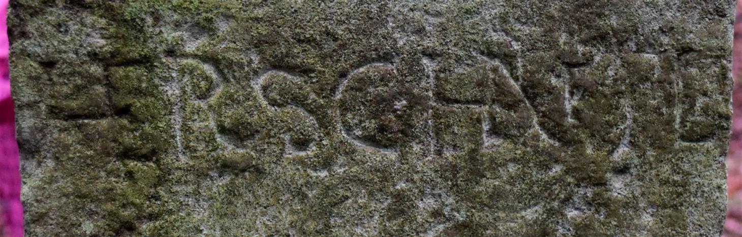 Josefstein - Rückseite